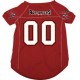Tampa Bay Buccaneers Dog Jersey